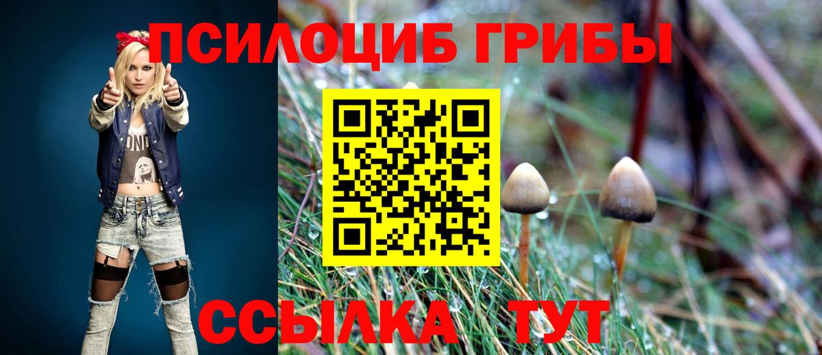 Галлюциногенные грибы Psilocybe Томск